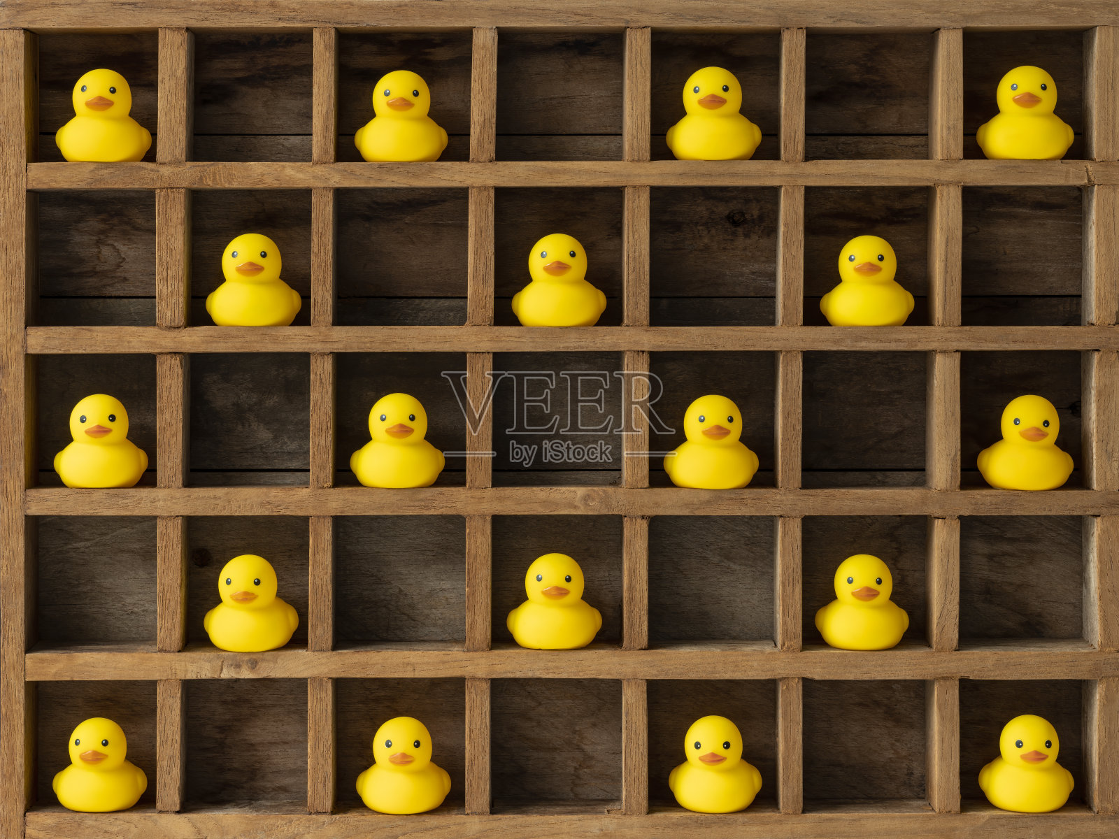 许多单独的黄色橡皮鸭被关在木制的隔间或鸽子洞里，用一个空洞彼此隔开，仿佛被隔离、封锁或隔离。照片摄影图片