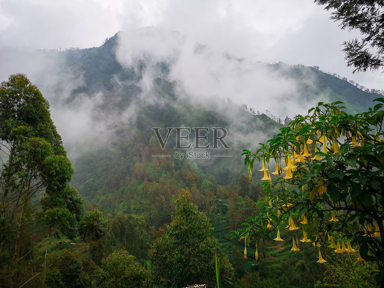 雾蒙蒙的农田，乡村风景，布罗莫山，印度尼西亚照片摄影图片