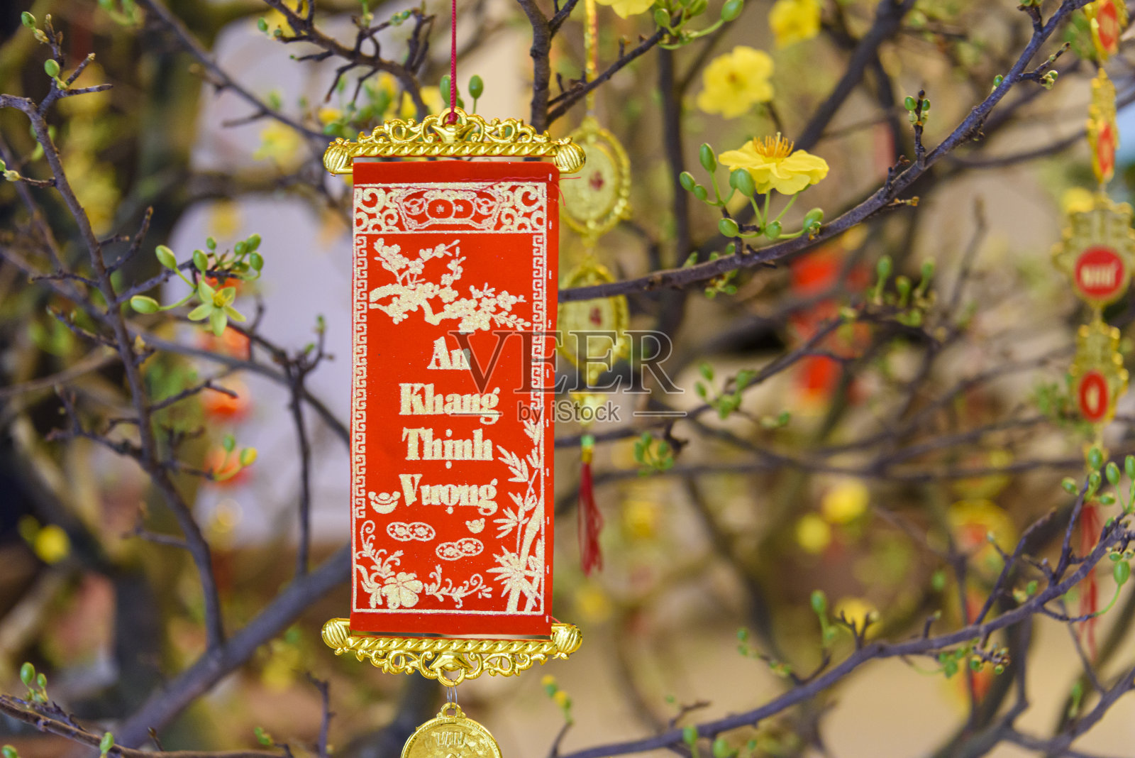 橙色花树上悬挂着一条红色和金色的横幅，上面写着“An Khang Thinh Vuong”(祝愿繁荣)，庆祝中国农历新年。照片摄影图片