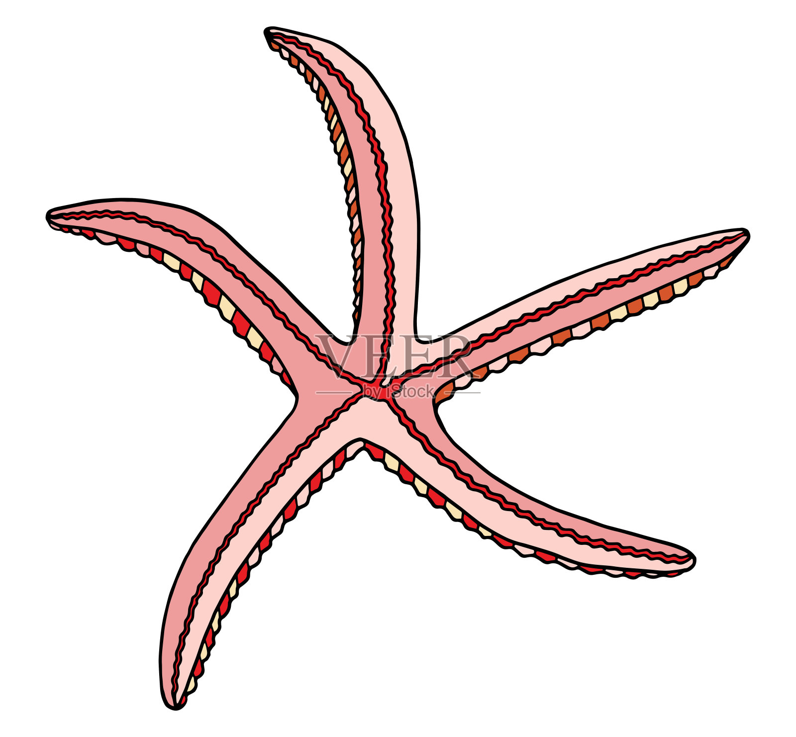 色彩鲜艳的海星。手绘矢量插图。粉红色的海星孤立在白色的背景上。海洋元素海报，卡片，装饰，邀请，打印插画图片素材