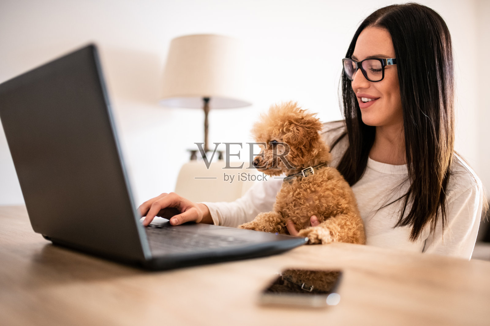 一名年轻女子坐在家里的办公桌前，在笔记本电脑上工作，而她的小狗狗坐在她的腿上。自由职业者在家工作在轻松的氛围概念。照片摄影图片