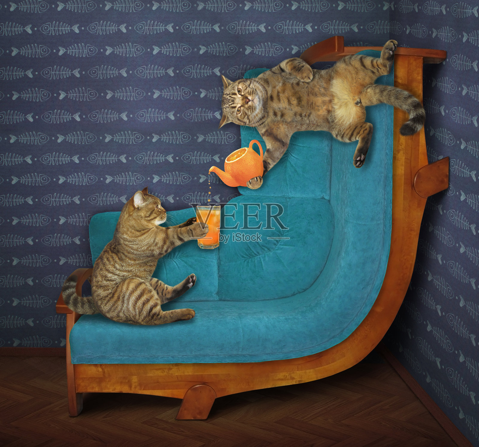 两只猫坐在弯曲的沙发上照片摄影图片