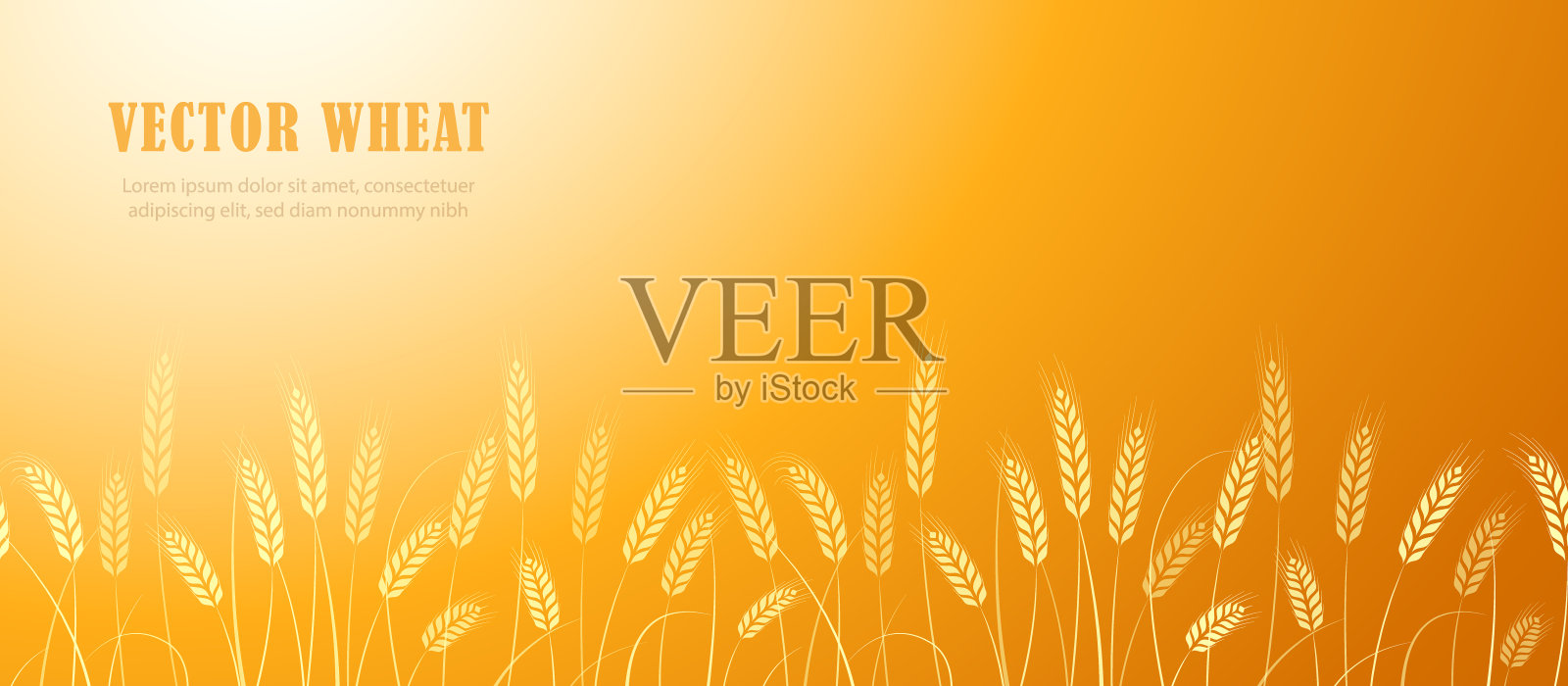 小麦穗在田间横边图案上以文字为主。矢量图插画图片素材