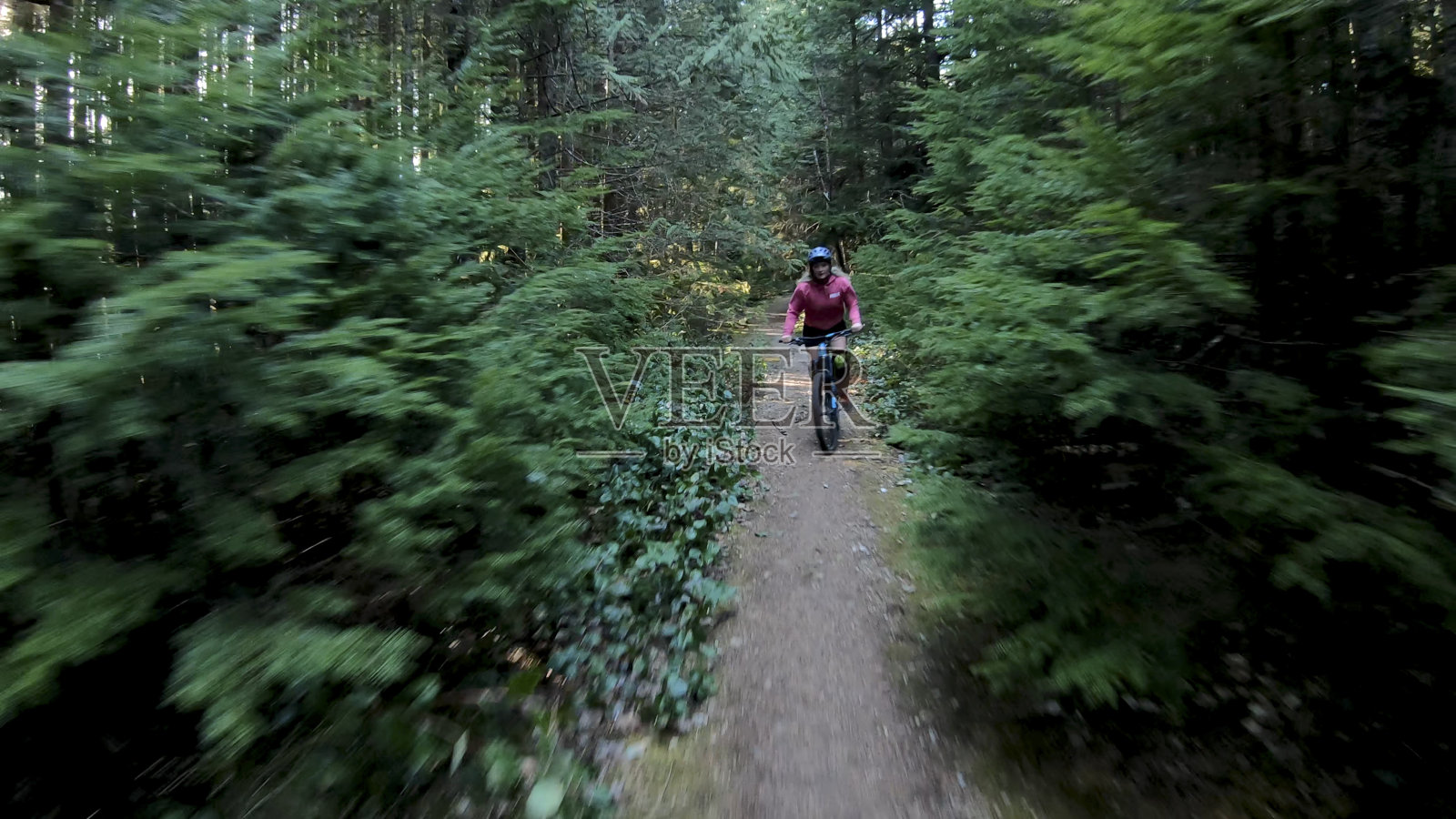 女山地自行车沿着森林小径照片摄影图片