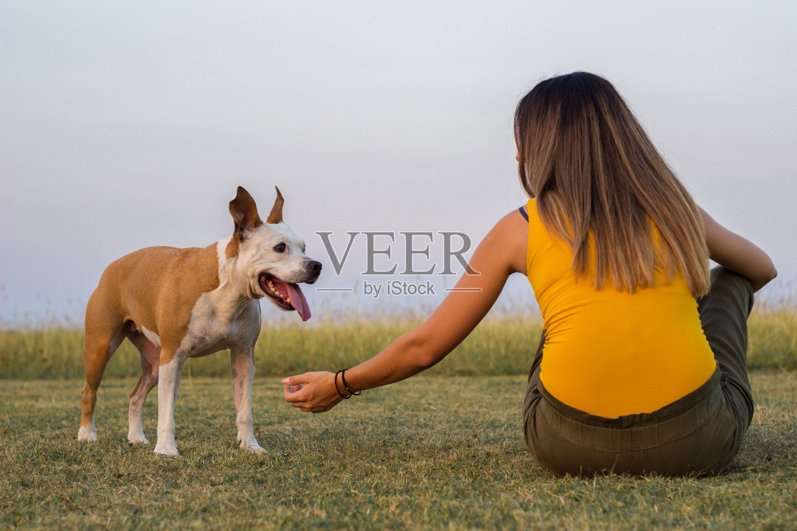 女人和她的狗分享一份爱照片摄影图片