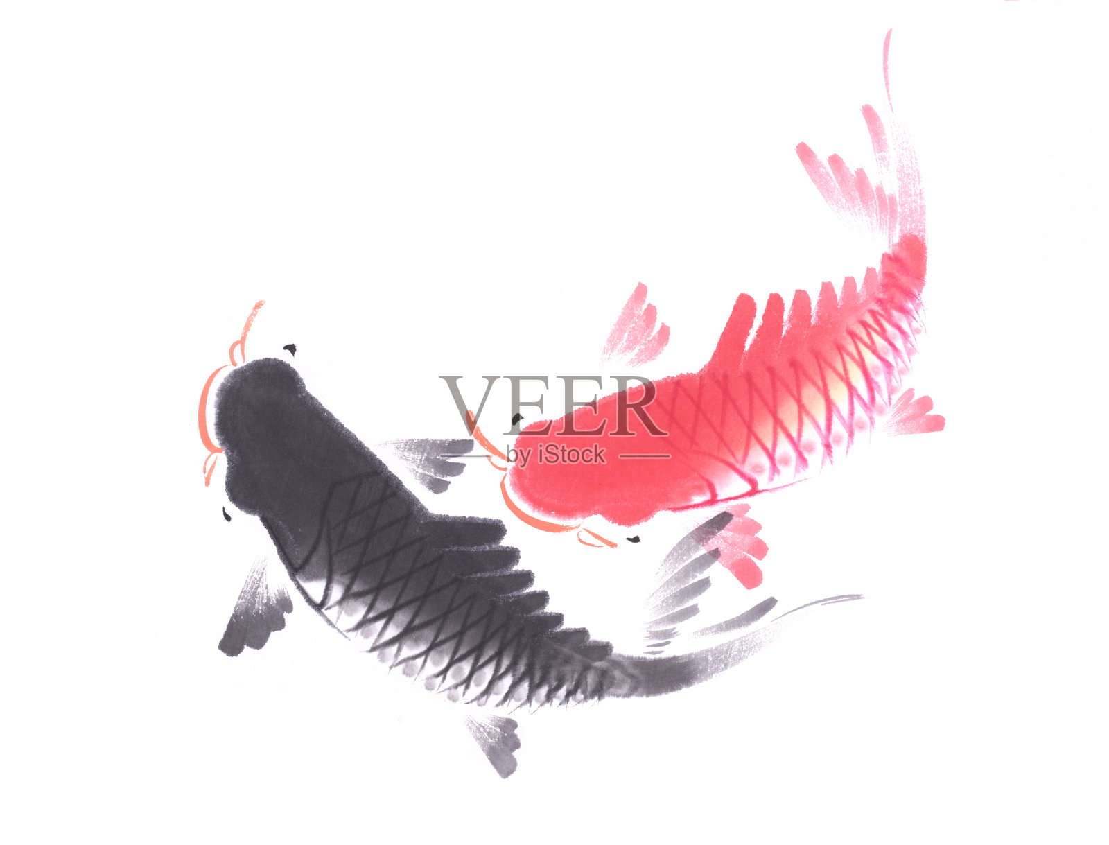 传统风格手绘红、黑锦鲤插画图片素材