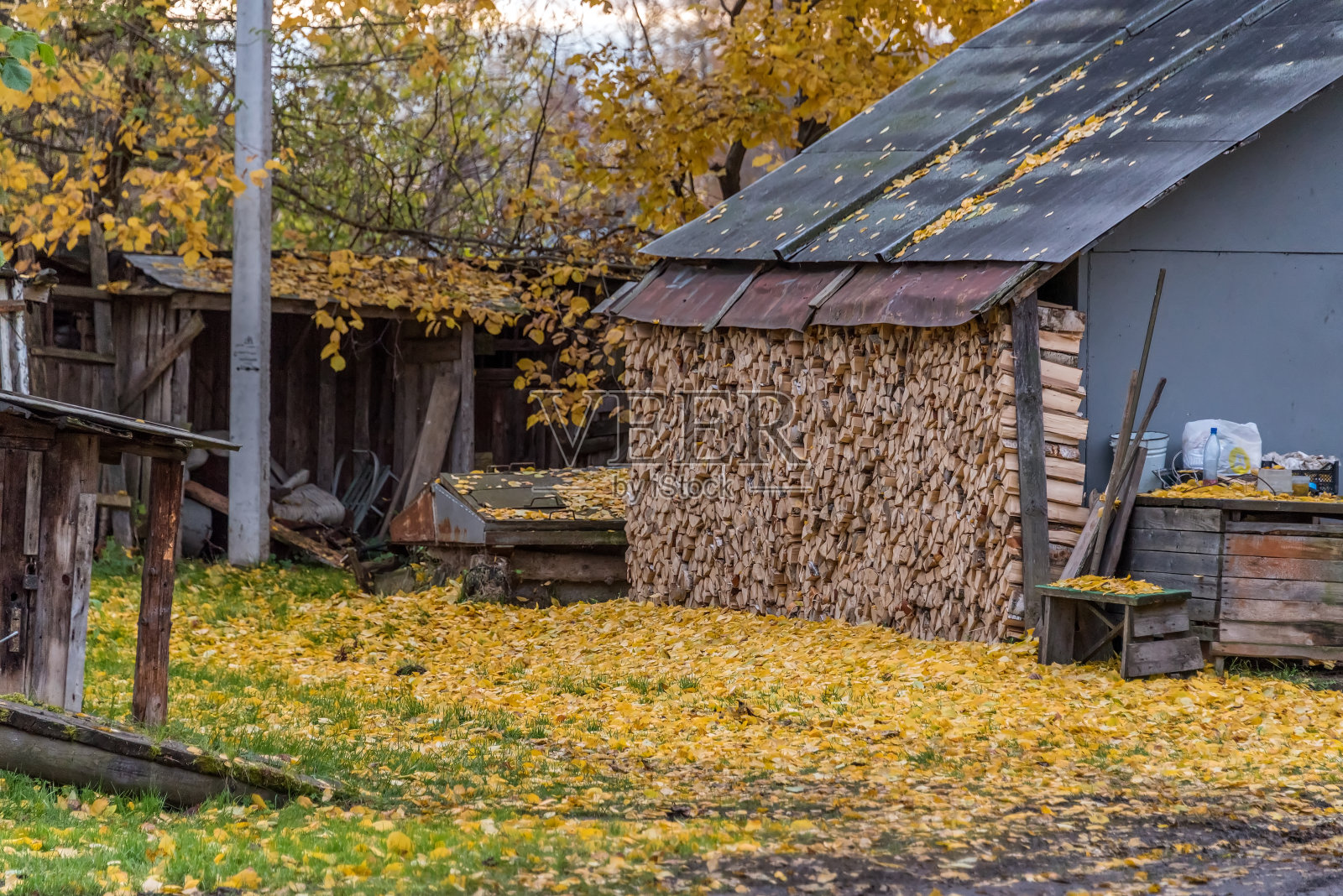 为过冬准备的柴火就放在乡下房子的院子里。秋天。俄罗斯照片摄影图片