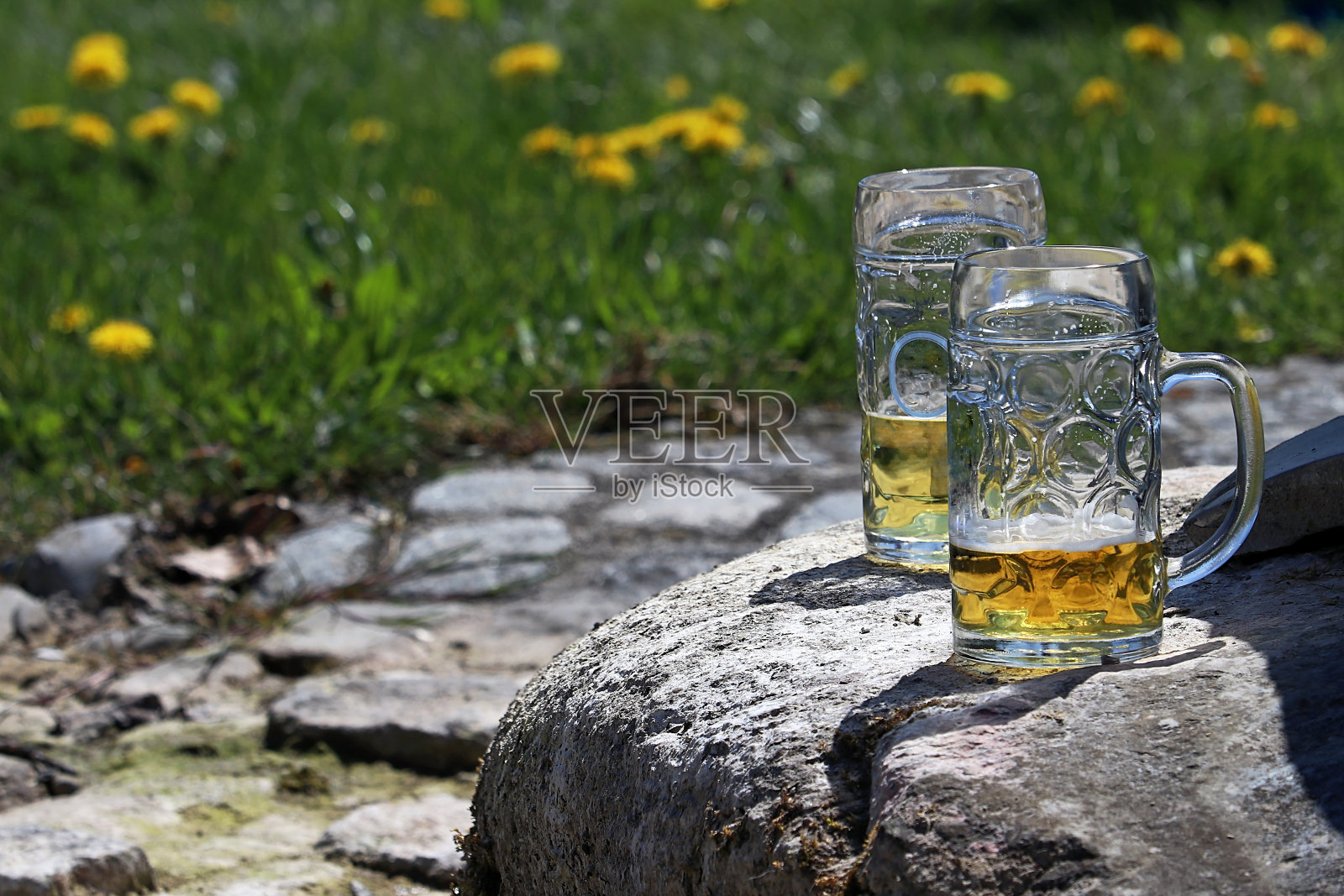 春天，两只巴伐利亚啤酒杯和少量剩余的啤酒放在一块石头上照片摄影图片