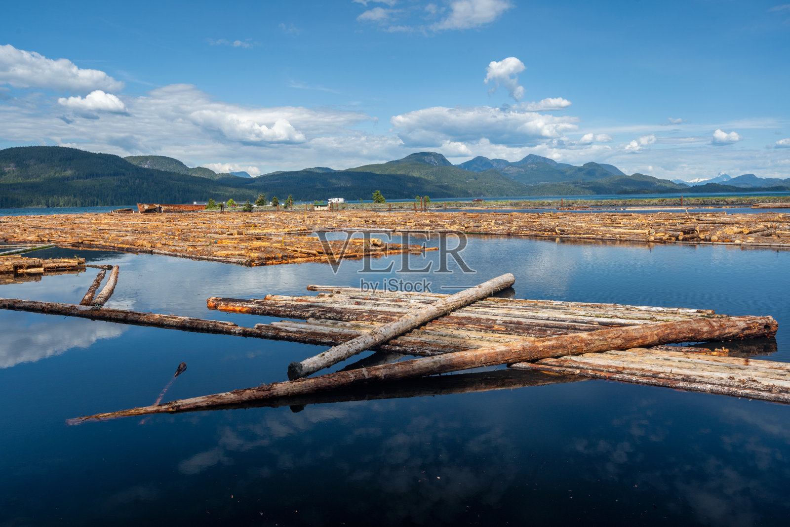 温哥华岛上的伐木业照片摄影图片