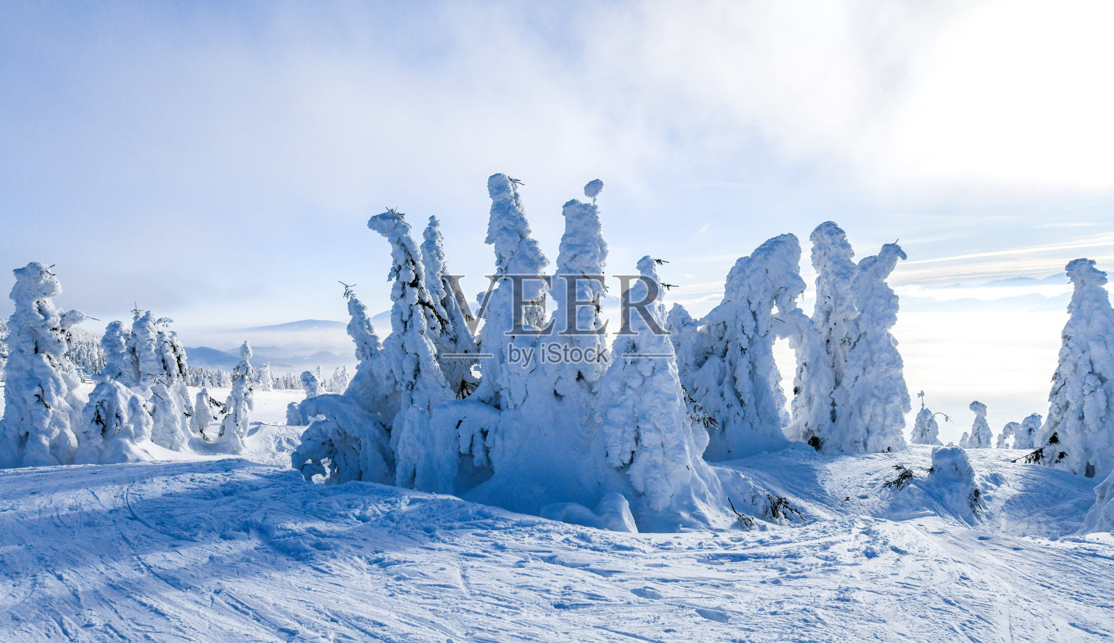 冬天的早晨，山上的树木被霜雪覆盖。照片摄影图片
