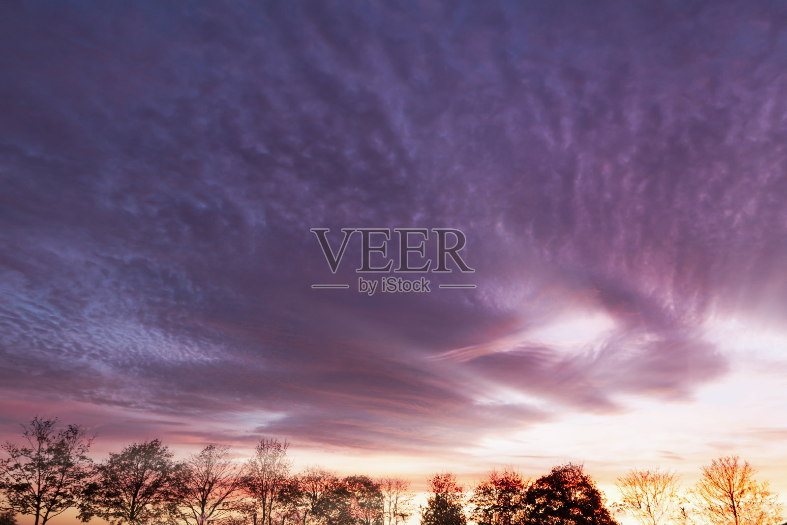 紫色的云和冬天的树线。照片摄影图片
