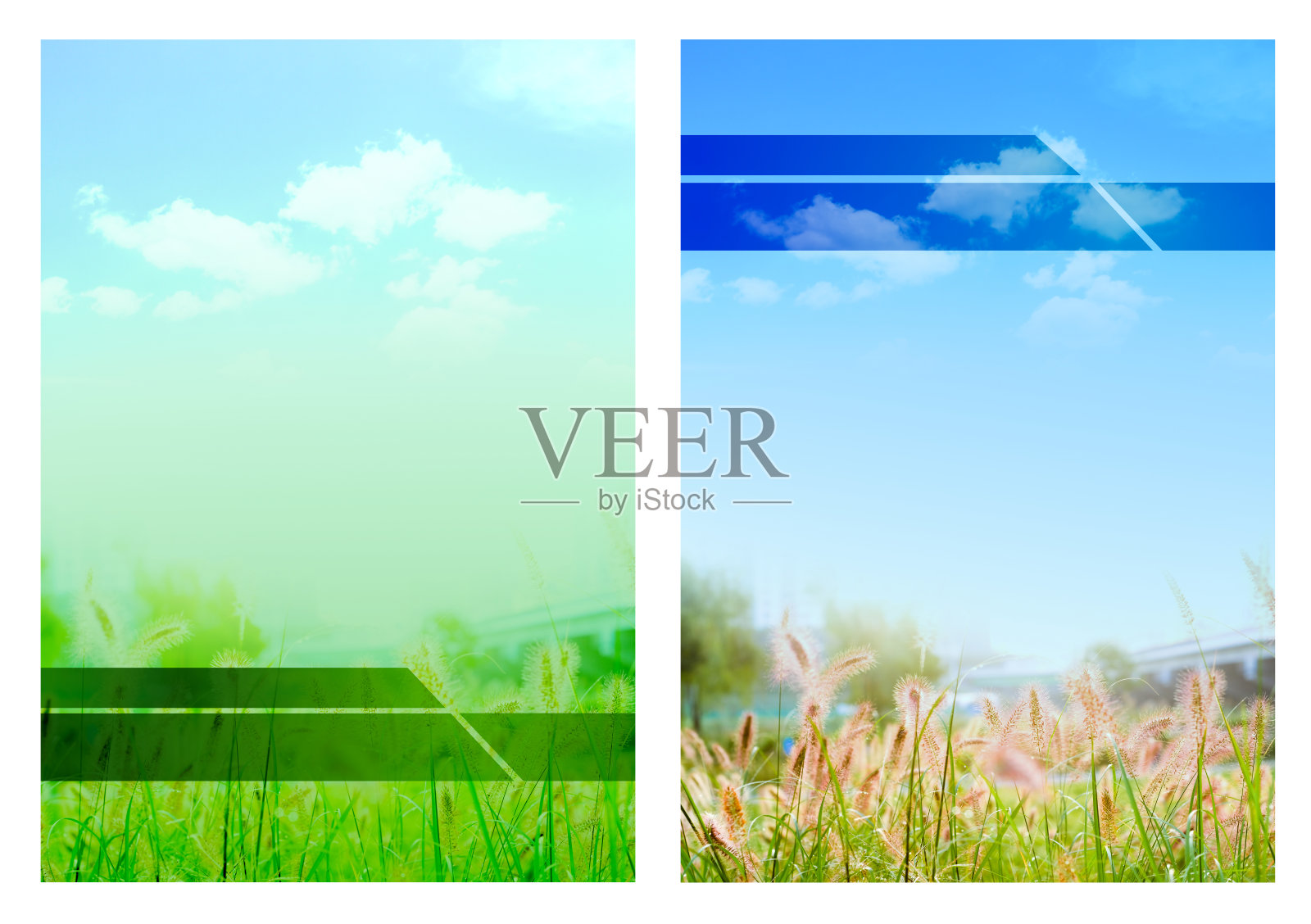 模板和背景封面设计，媒体，广告在环境自然主题设置与天空云和田野在绿色和蓝色色调与复制空间插入文本。插画图片素材