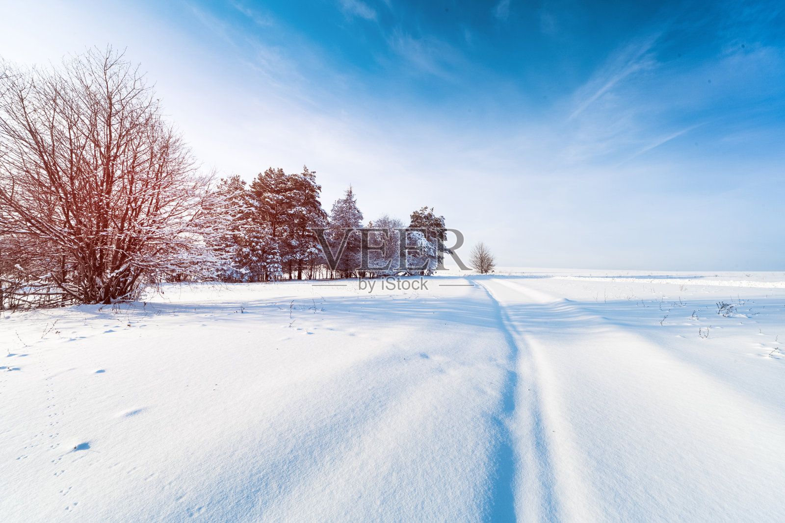 冬天的路上有树木和蓝天照片摄影图片