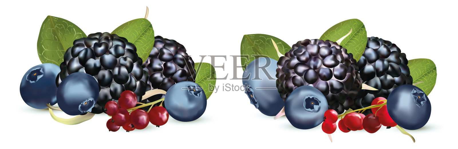 新鲜采摘的黑莓，红醋栗和蓝莓在白色的背景。新鲜浆果富含维生素，天然产物。3 d现实的例证。插画图片素材