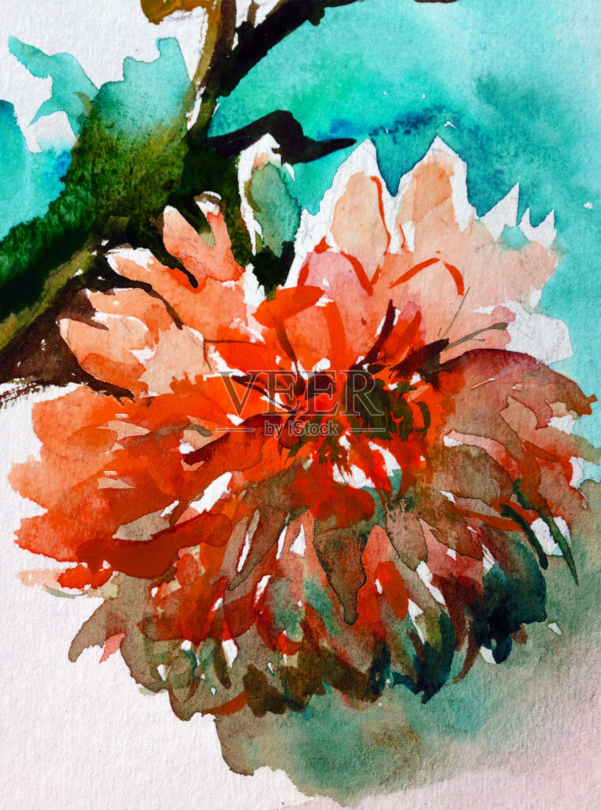 手工花卉图案。美丽温柔浪漫的夏日大丽花，采用自然水彩画技法制成。插画图片素材