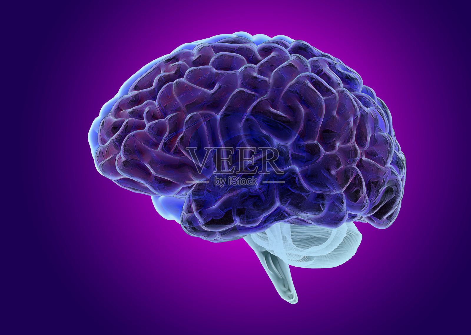 3D渲染黑色纹理人脑插图在紫色BG照片摄影图片