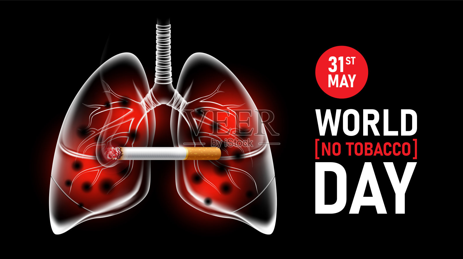 世界无烟日5月31日，停止吸烟概念广告，用人的肺燃烧香烟，矢量插图插画图片素材