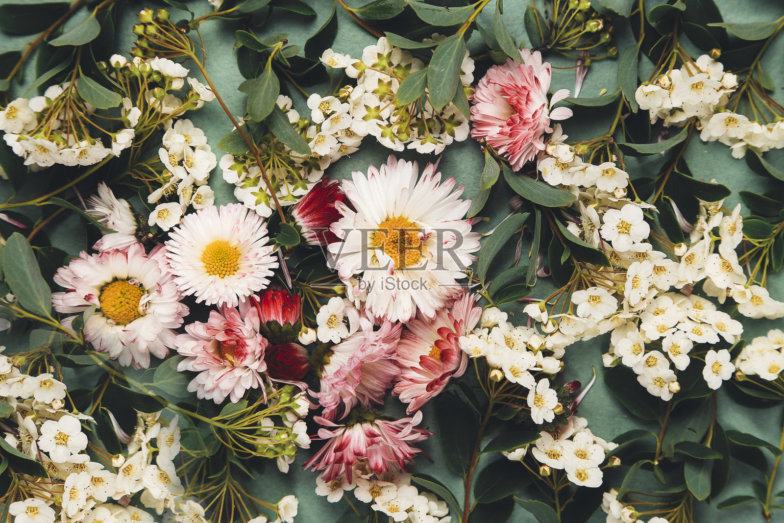 美丽的大自然花朵图案背景照片摄影图片