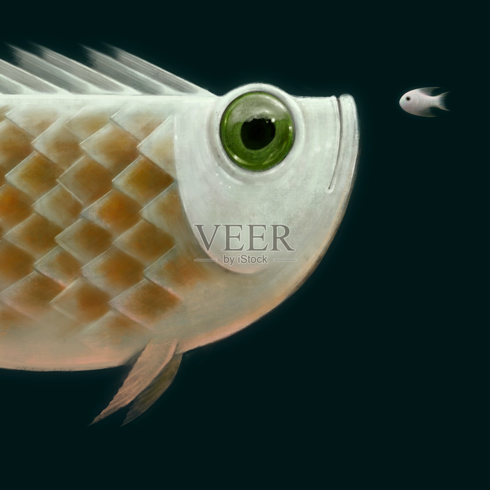 鱼插画图片素材