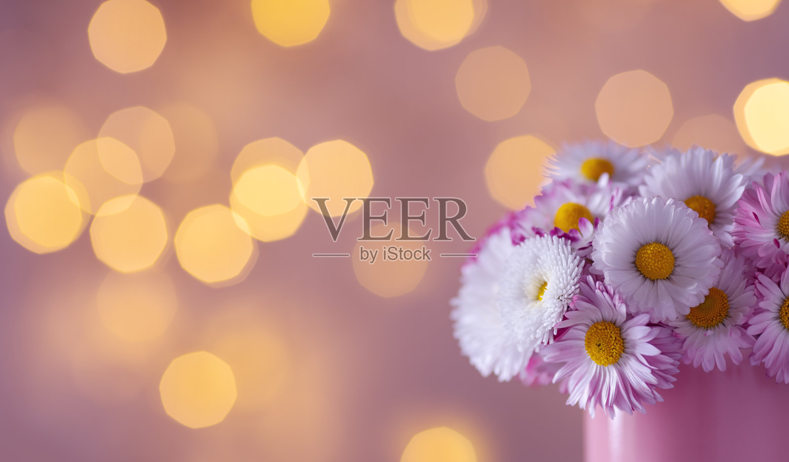 一束美丽的英国雏菊花在粉红色的杯，以闪烁的灯光为背景。贺卡模板。照片摄影图片