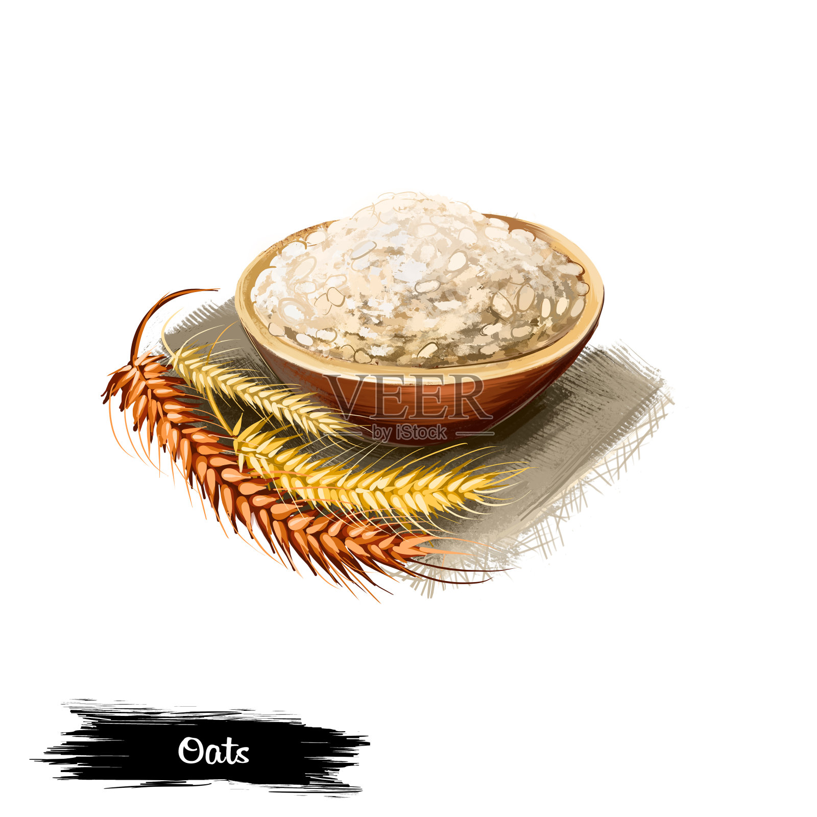 燕麦粥和谷物孤立在白色背景数字艺术插图。燕麦片在弓和干小麦植物。营养素食食品和生谷物特写。健康的零食插画图片素材