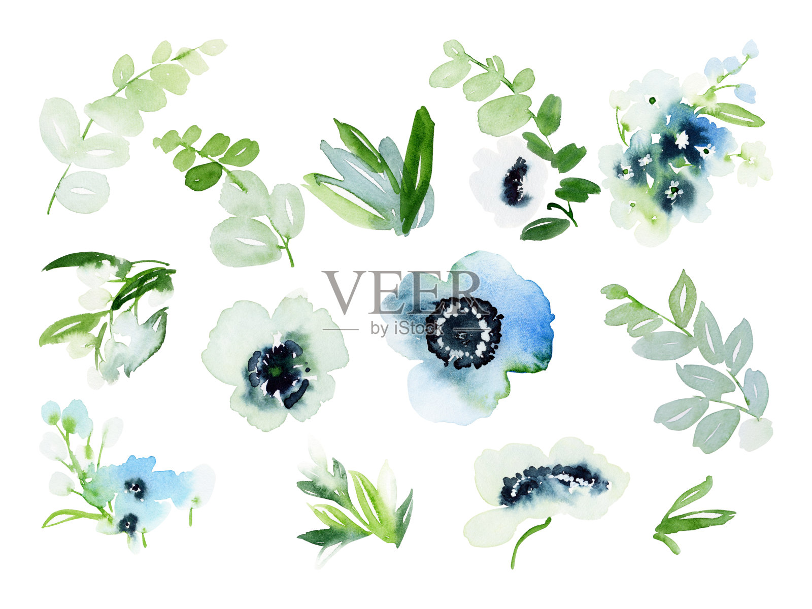 一组植物元素，蓝色的海葵在白色的背景为卡片插画图片素材