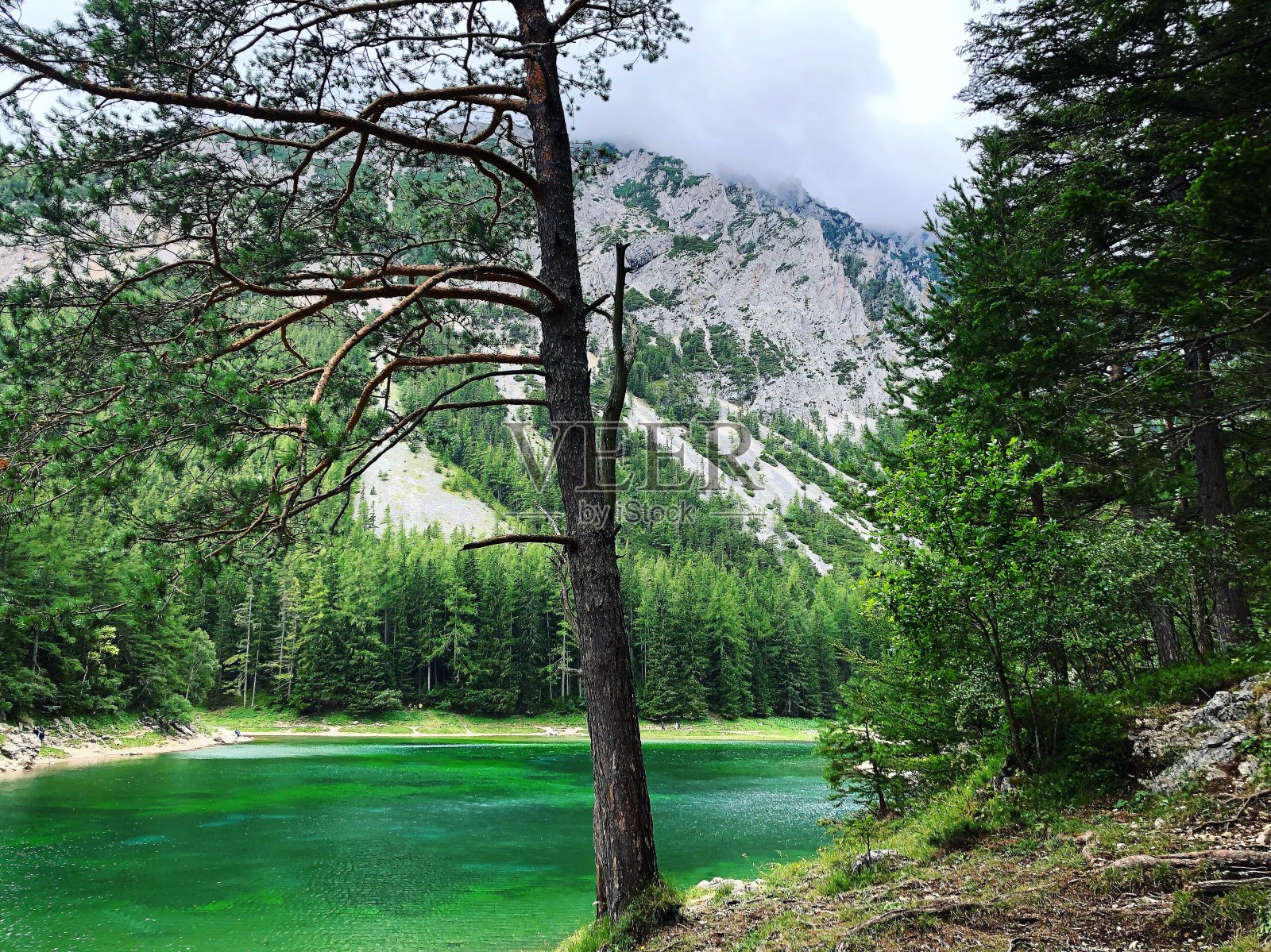绿色的湖照片摄影图片