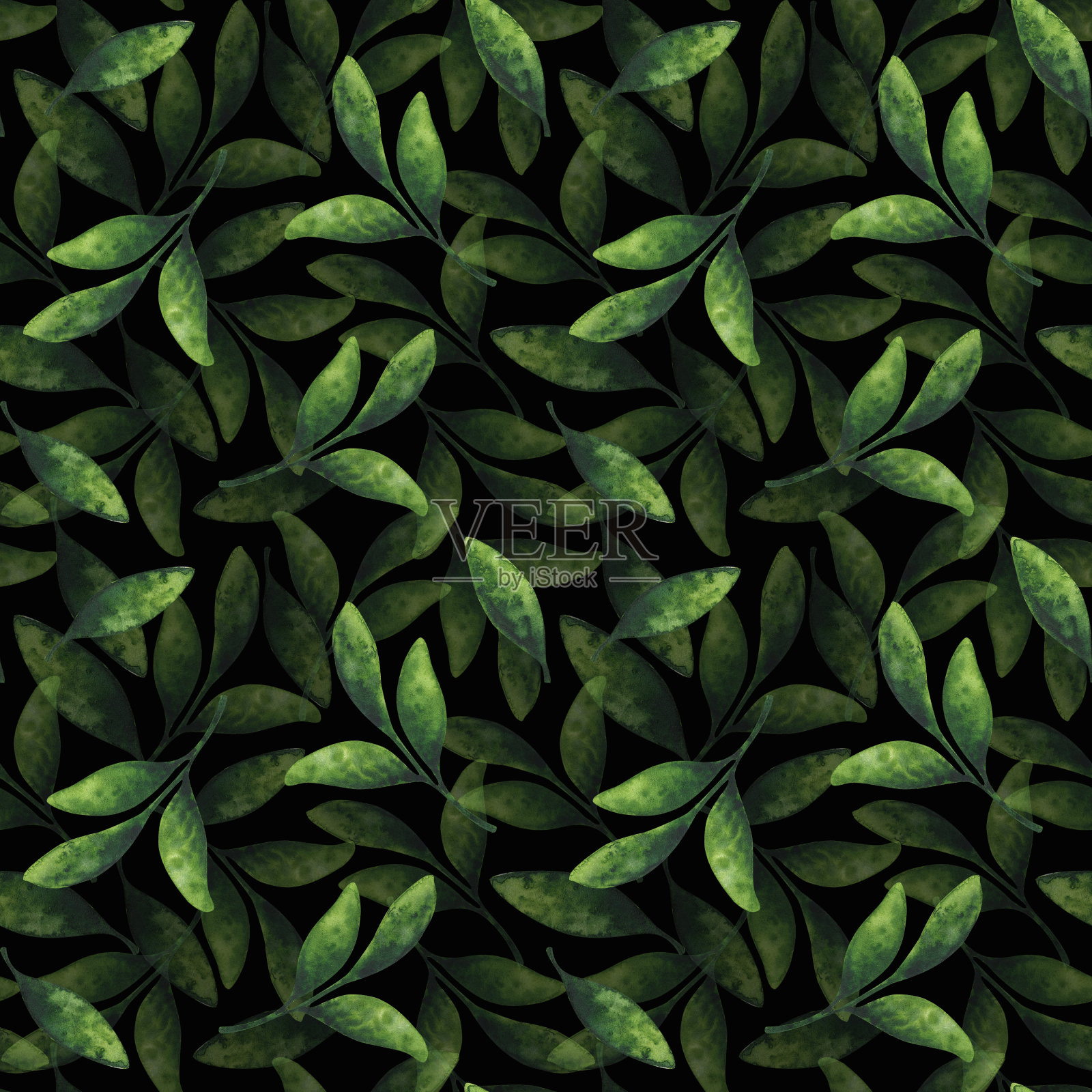 绿色的叶子。无缝模式与水彩插图上的黑色背景。环保植物点缀。大量，混乱的模式为一个时尚的印花。华丽的植物。插画图片素材