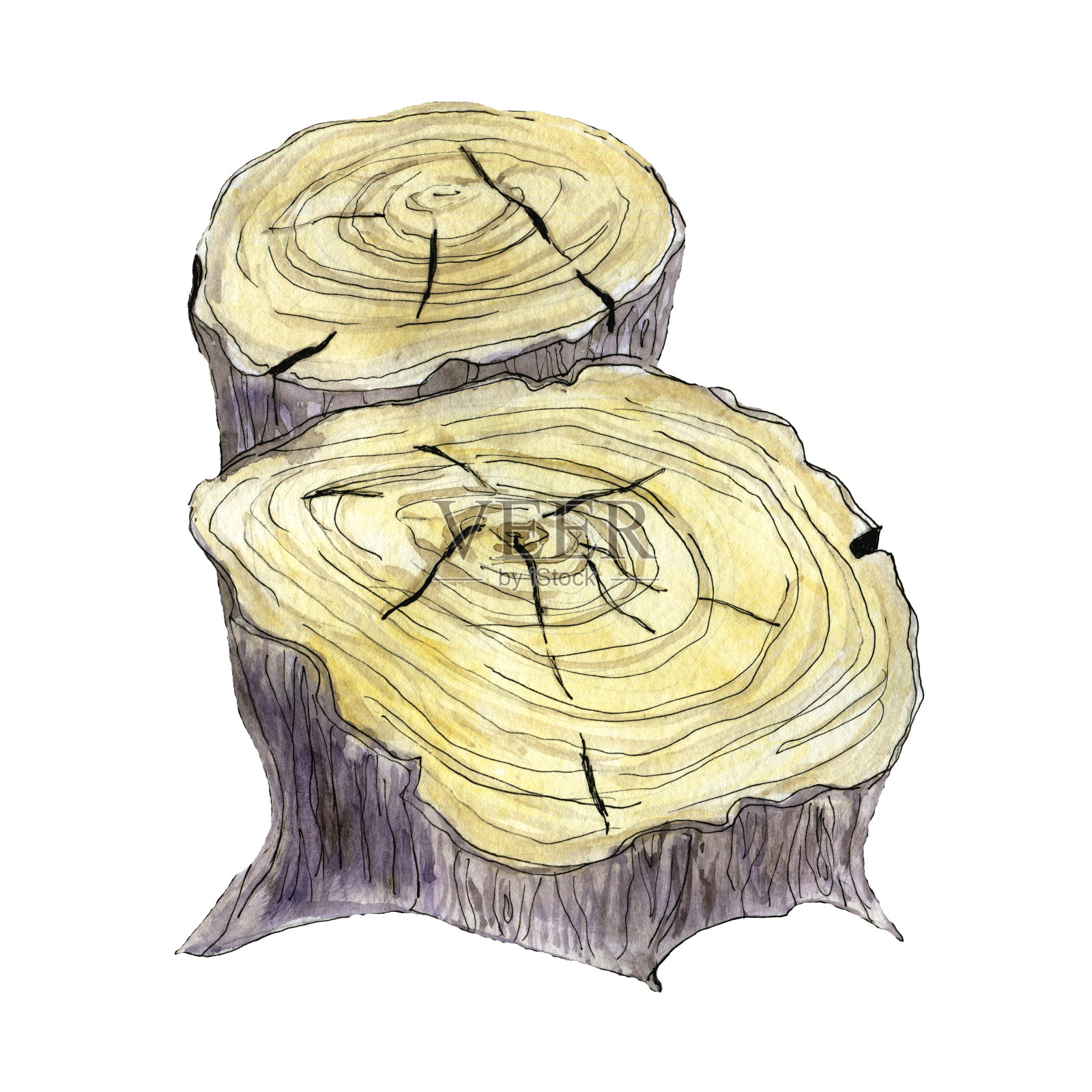 两个水彩树桩插画图片素材