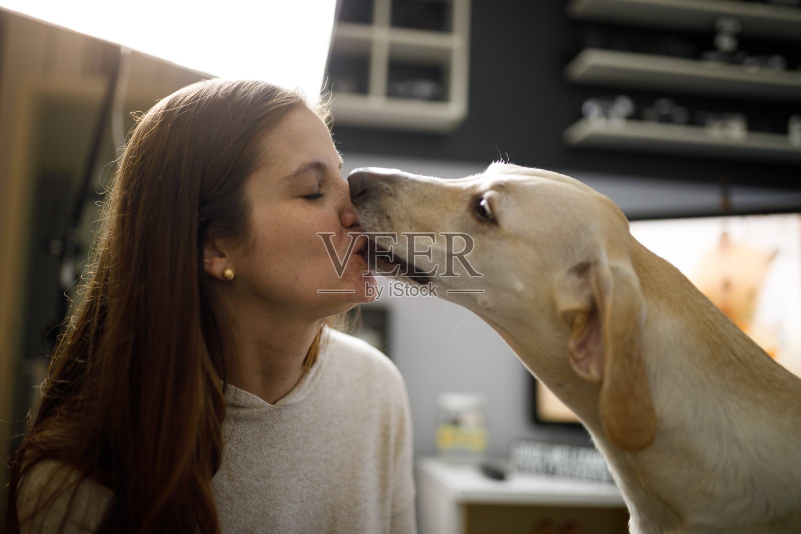 狗狗亲吻-爱情中的狗情侣