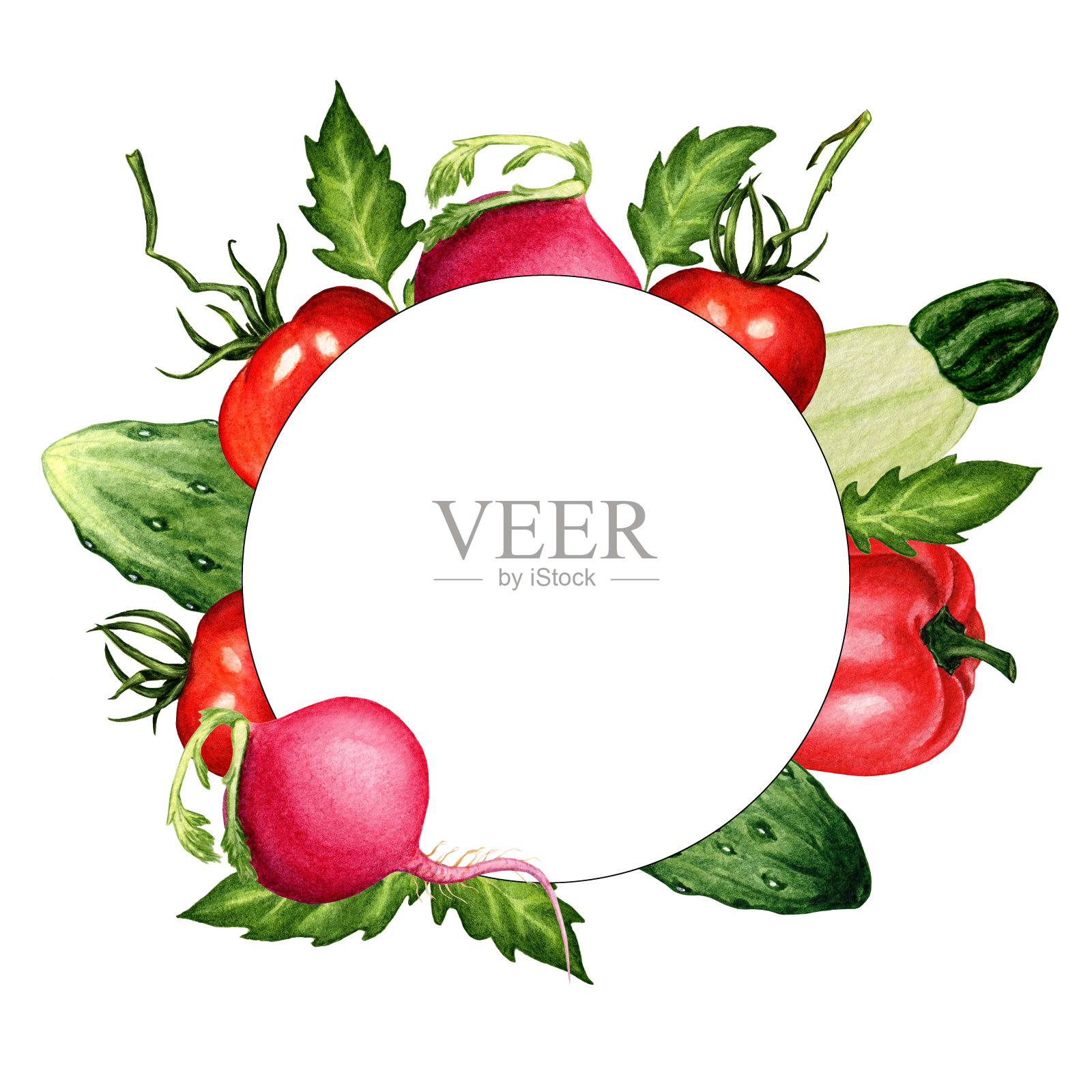 框架与手绘水彩蔬菜在白色的背景。农贸市场，素食商店的标志。插画图片素材