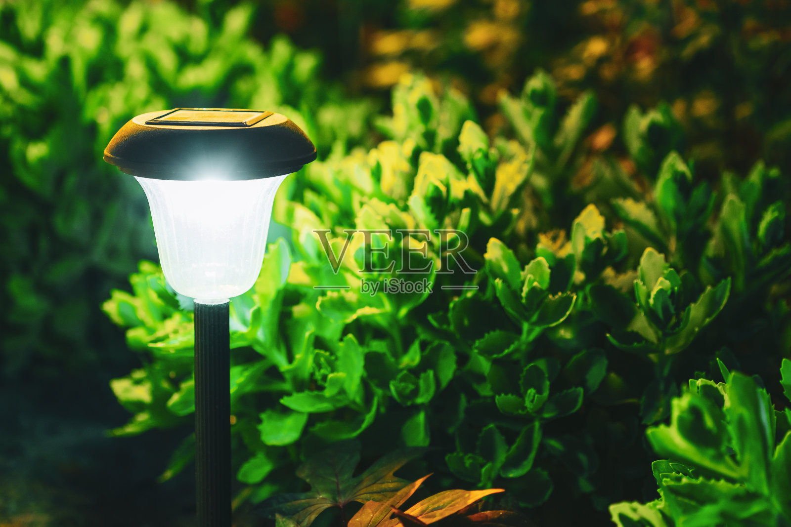 装饰小型太阳能花园灯，花坛灯笼。花园的设计。太阳能灯照片摄影图片