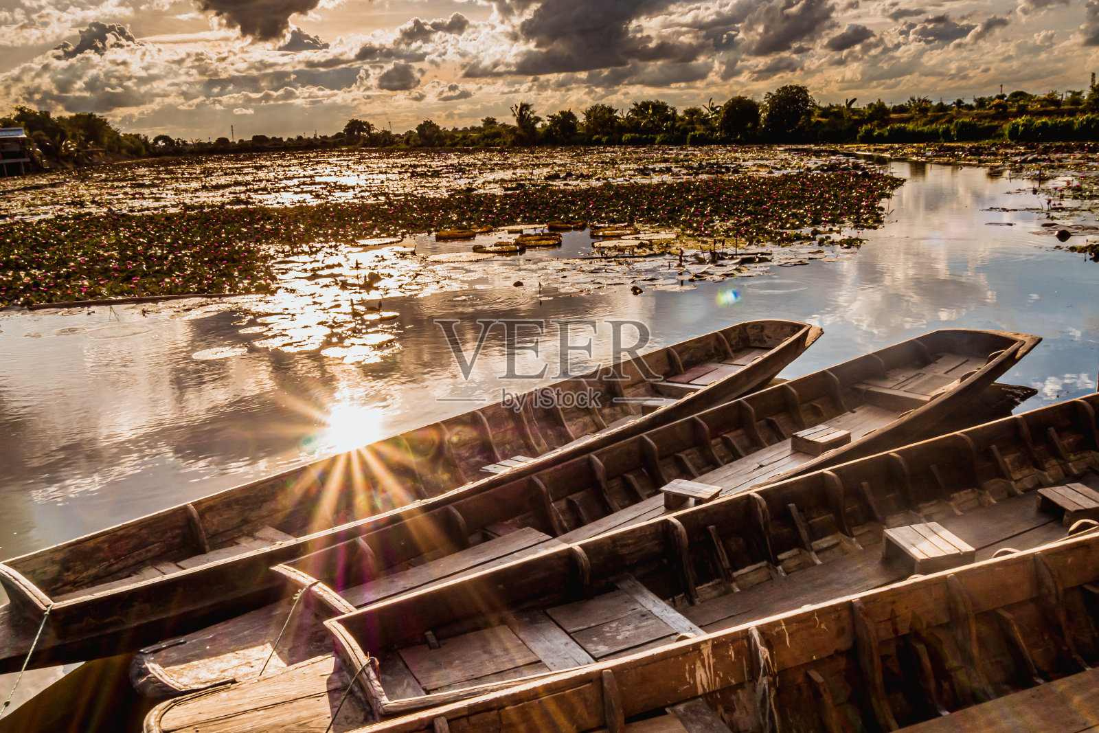 粉红荷塘木船旁的水面上，阳光明媚。泰国的旧木船和红莲花照片摄影图片