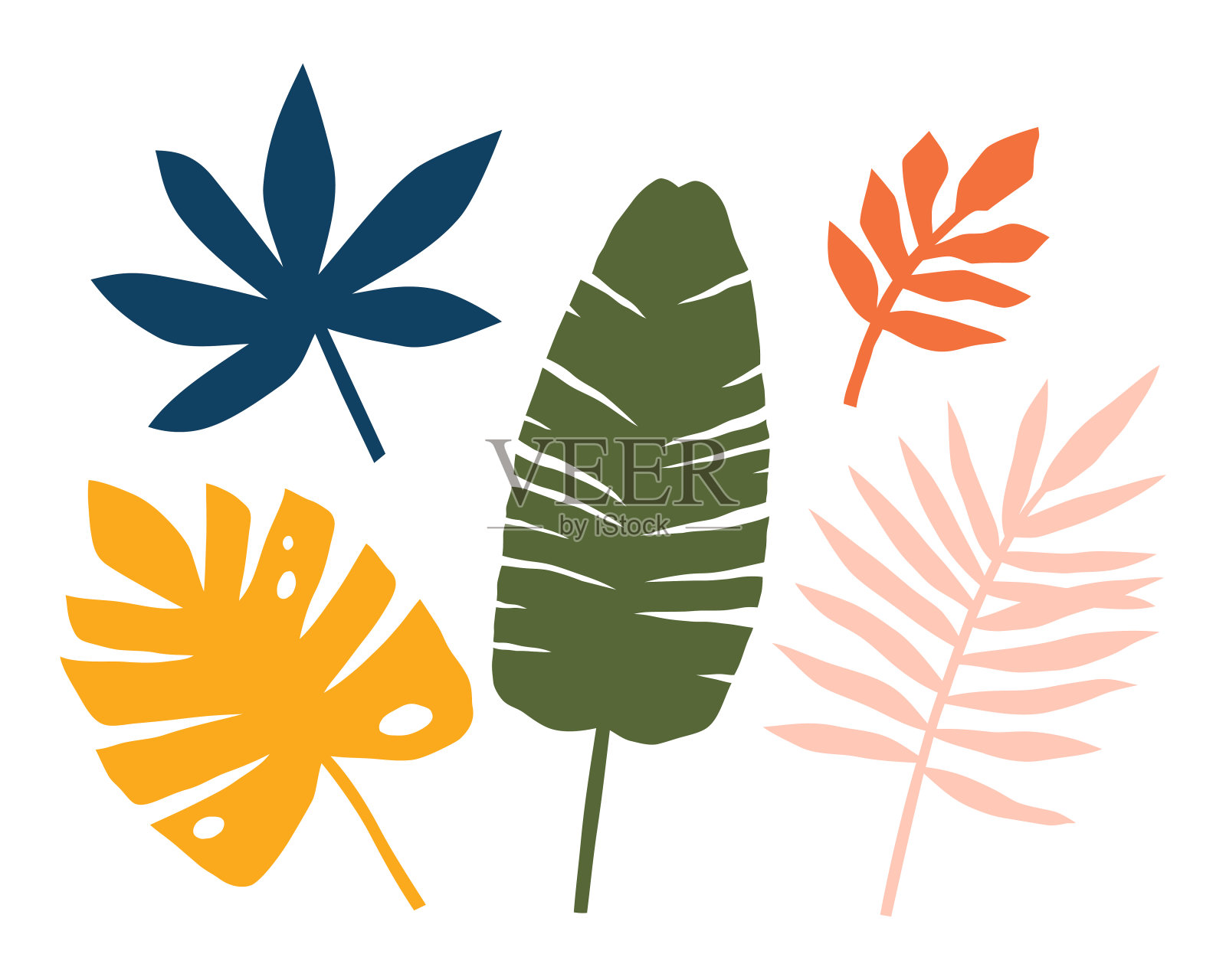 一组抽象的热带树叶，棕榈树，树木。丛林打印。插画图片素材