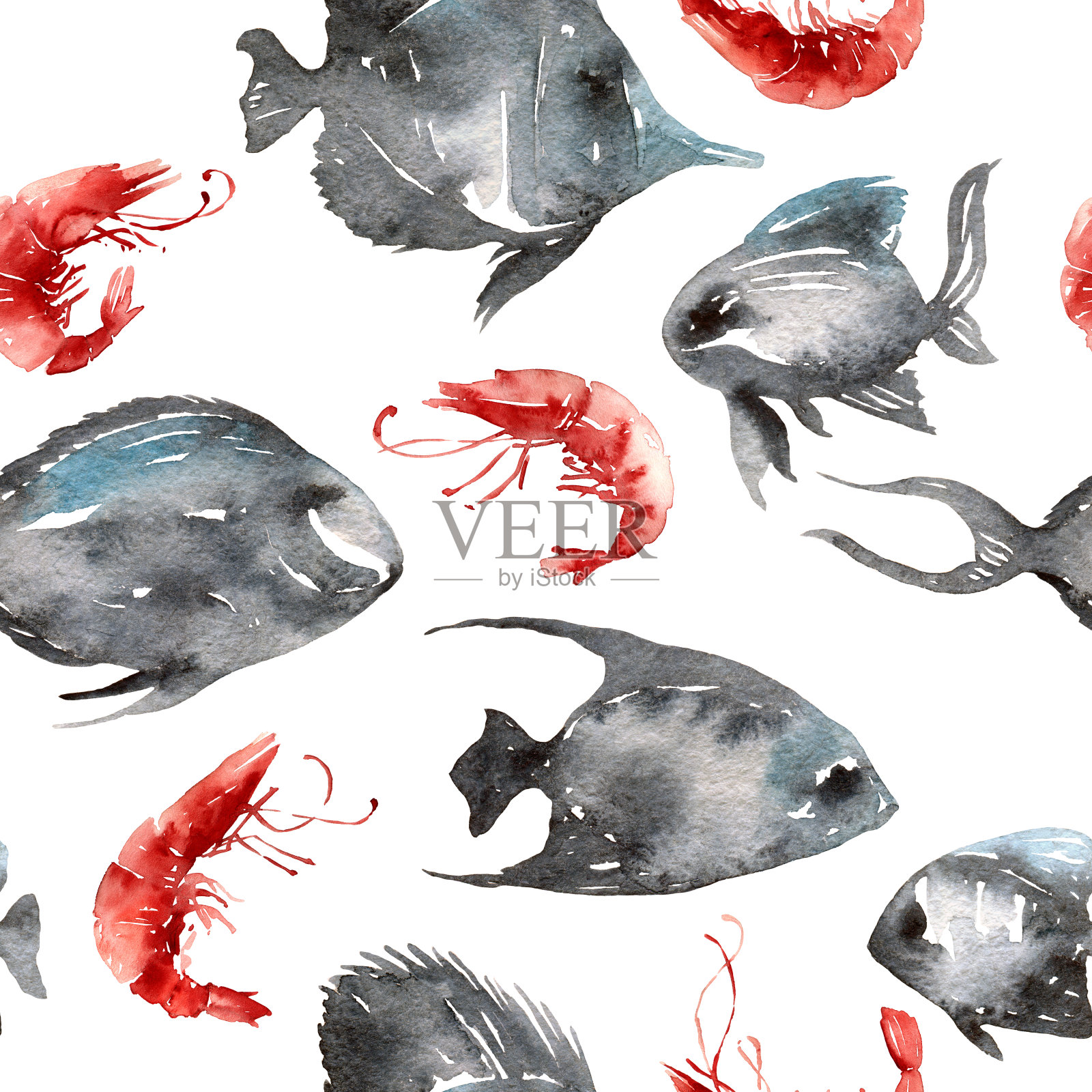 水彩画的鱼和虾插画图片素材