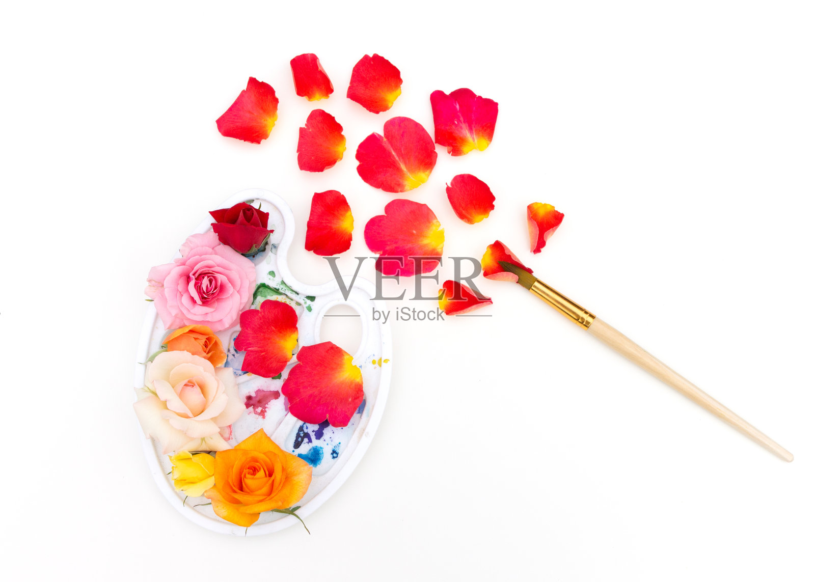 水彩调色板与多色玫瑰花蕾和艺术刷在白色的背景。夏天的色彩。缤纷夏日创意理念。照片摄影图片