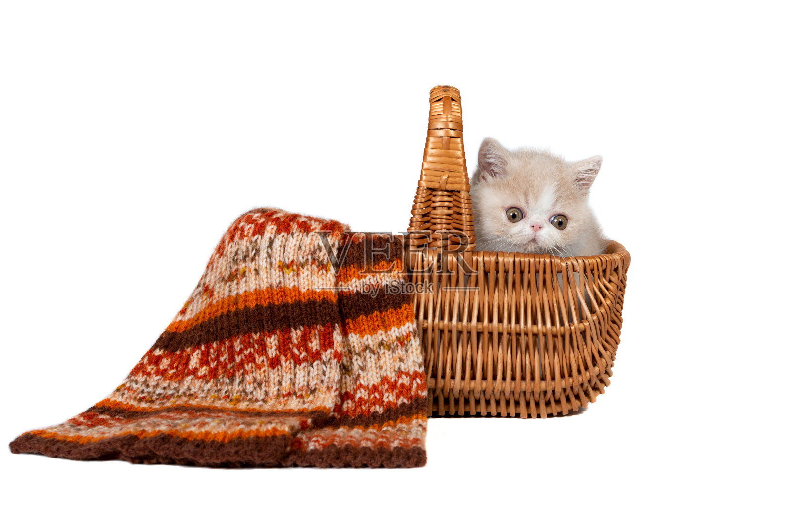 一只毛茸茸的小红猫的肖像，在一个棕色的柳条篮子孤立在白色的背景。照片摄影图片