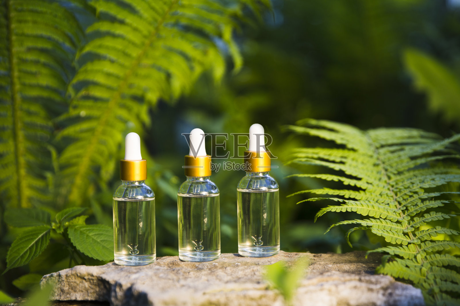三个化妆品玻璃滴管瓶的精油背景下的热带树叶。温泉静物与天然血清在玻璃瓶。模拟滴式玻璃瓶照片摄影图片