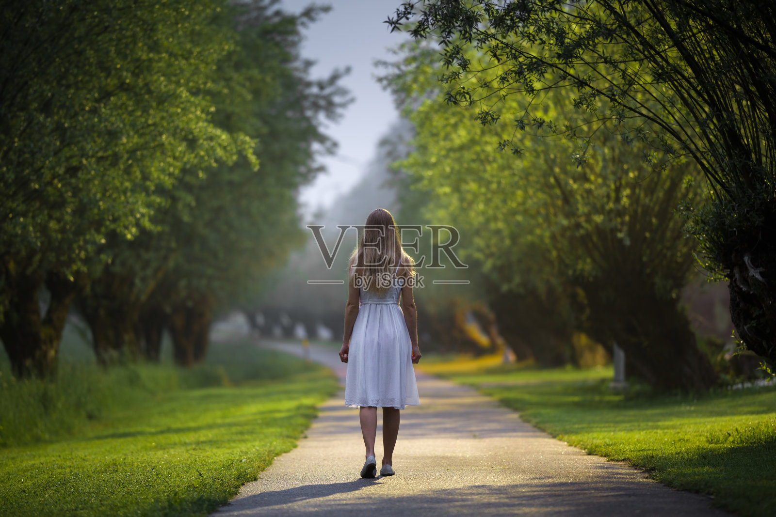 一个被遗弃的年轻女子，穿着白色的衣服，在温暖的夏夜慢慢地走过树巷。花时间独处在大自然中。和平的气氛。后视图。照片摄影图片