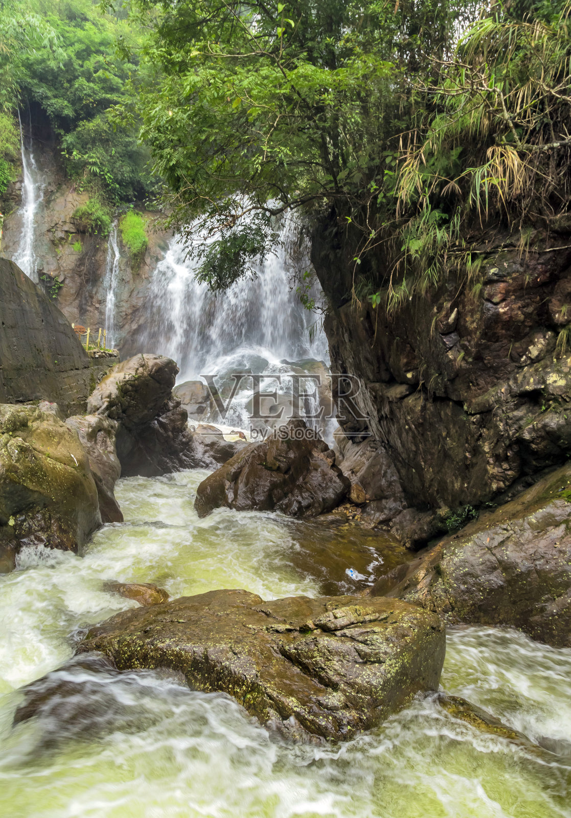 雨林中的瀑布照片摄影图片