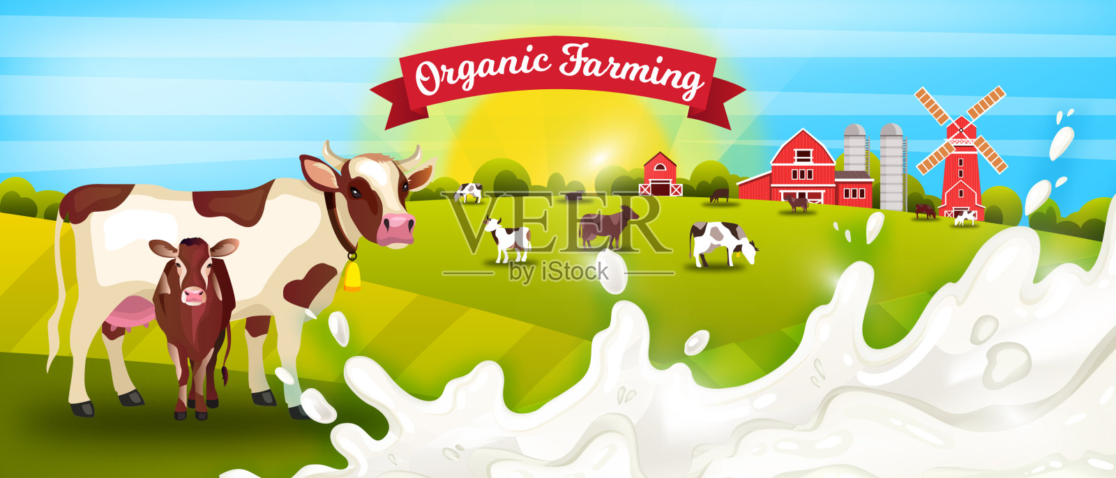 牛奶农场载体景观家畜，奶牛，小牛，牛奶溅，谷仓，磨坊，升起的太阳。插画图片素材