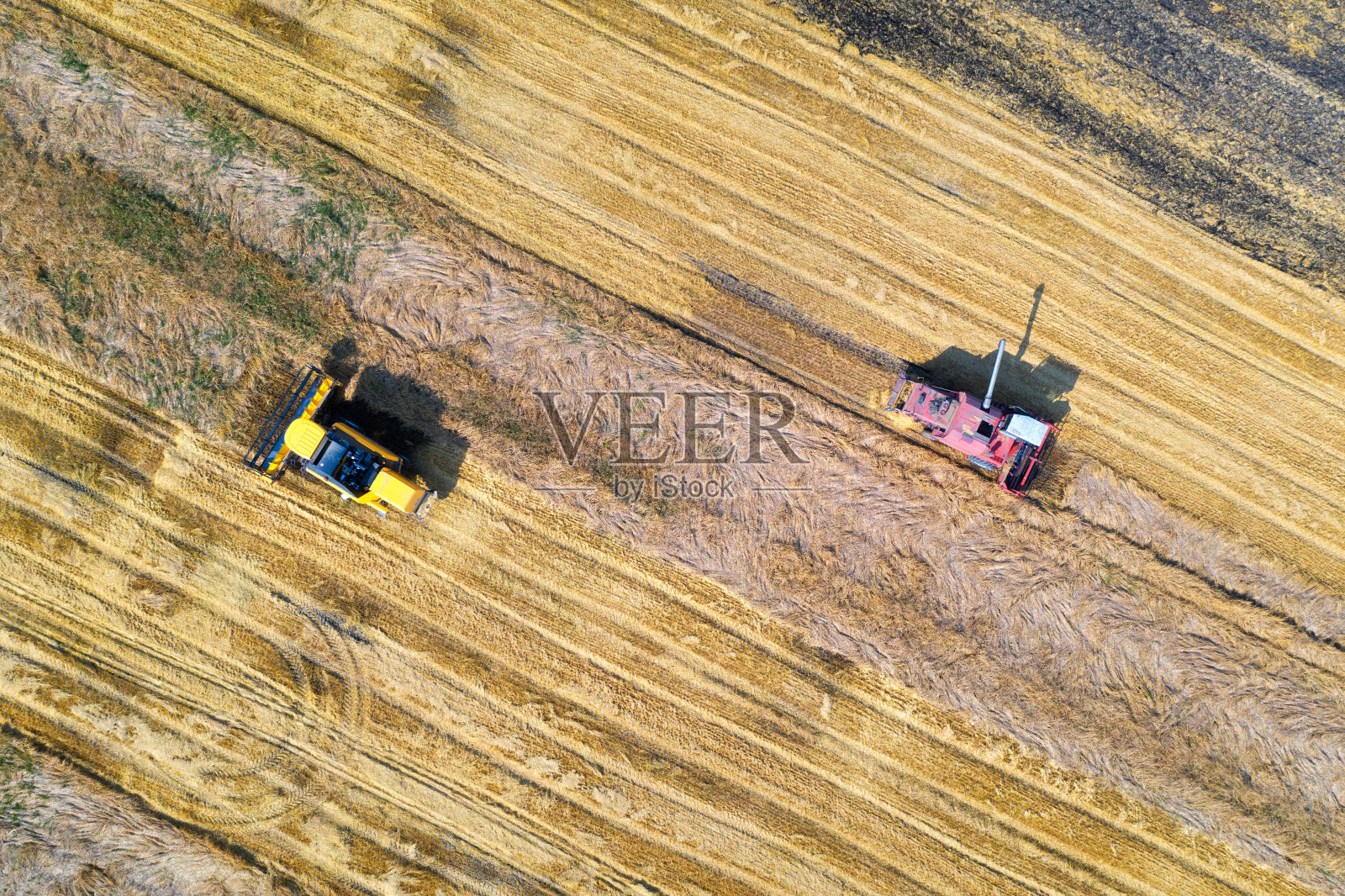 联合收割机在夏季日落收割小麦的鸟瞰图。农业。在黄色的麦田里，有收割者在工作。俯视图农业机械和成熟小麦照片摄影图片