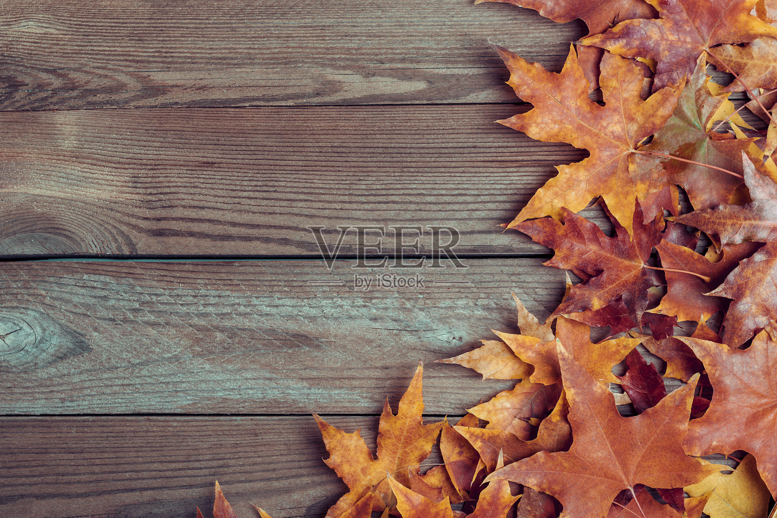 背景纹理与老木桌和黄色秋天的枫叶落下顶视图平铺复制空间文字地方你好秋天，9月，10月，11月，自然概念乡村风格照片摄影图片