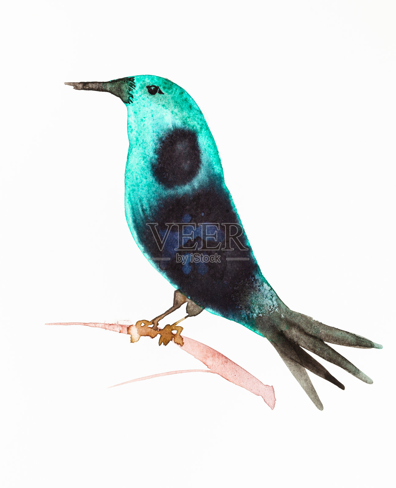 手绘的绿鸟，黑色翅膀设计元素图片