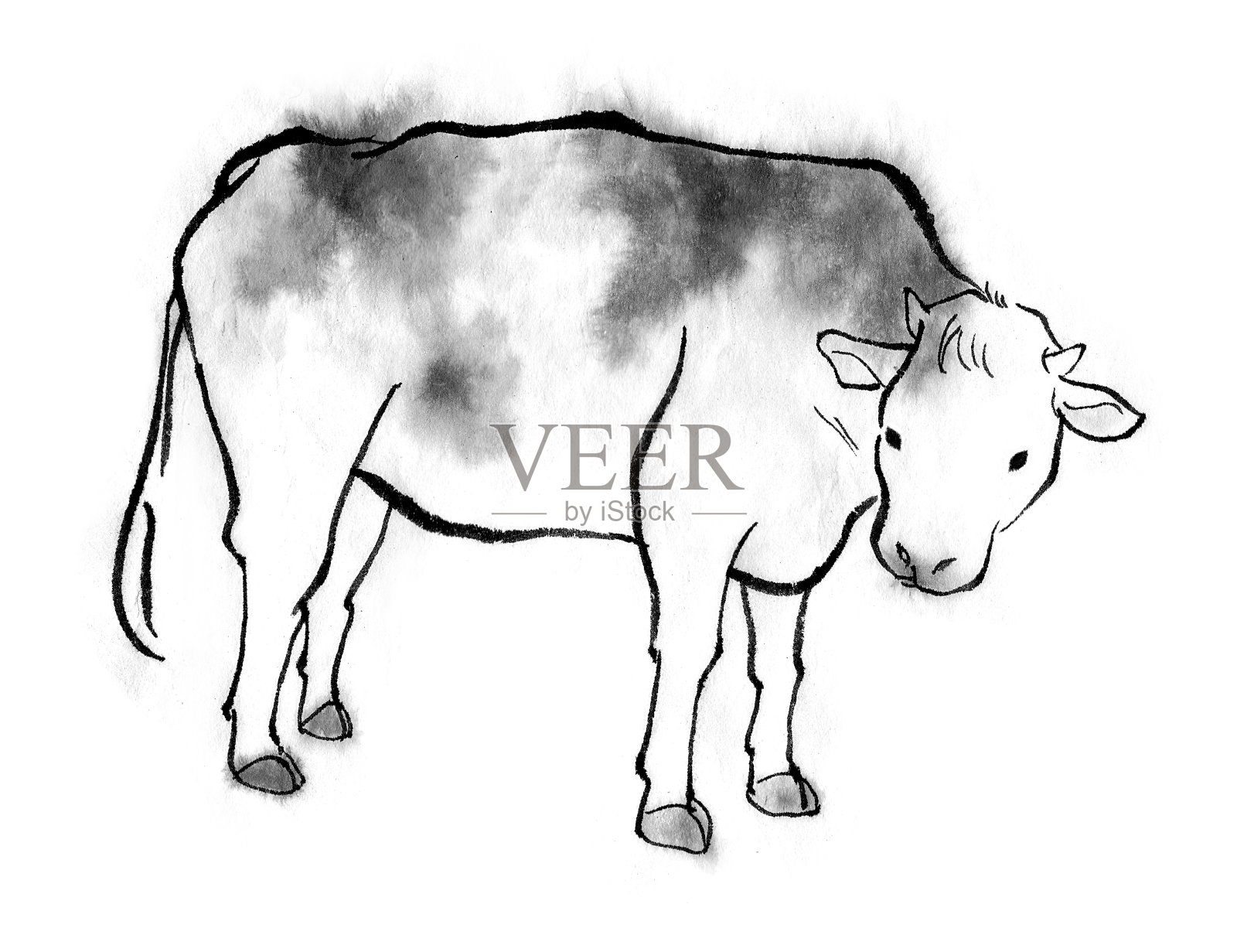 日本水墨画中平静的牛插画图片素材