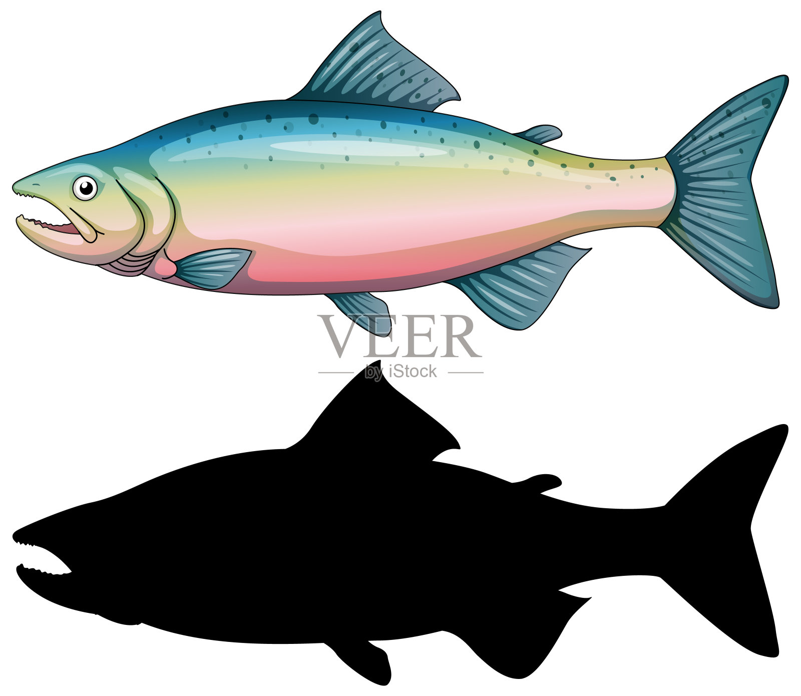 一组鱼的人物和它的轮廓在白色的背景上插画图片素材
