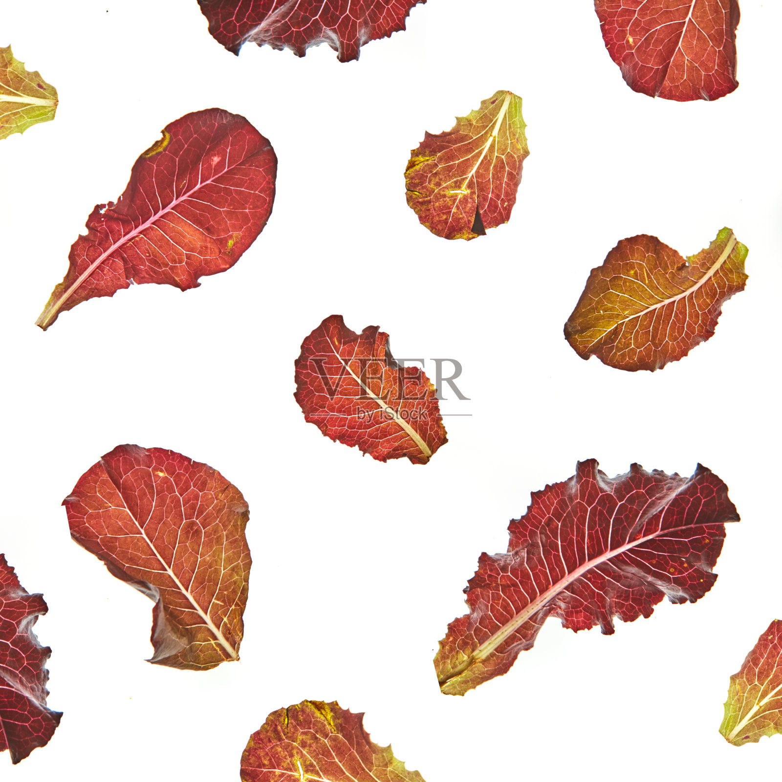 色彩斑斓的叶子图案的健康的天然有机沙拉飞行在白色的背景。照片摄影图片
