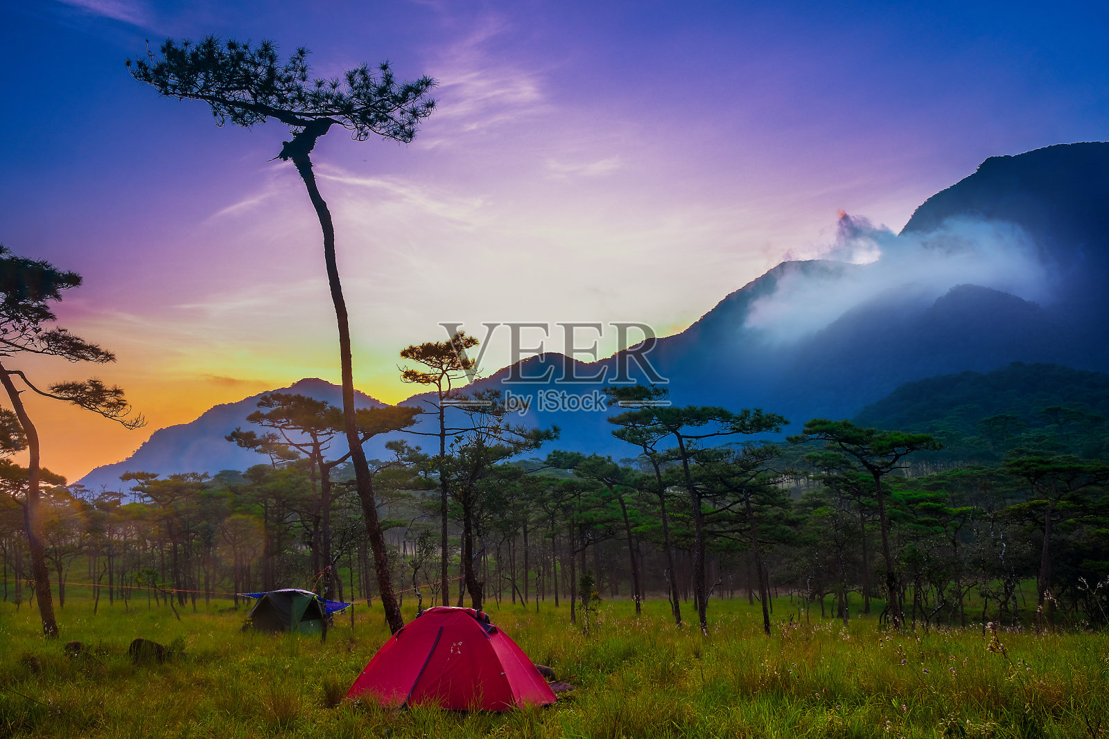 泰国福梭岛国家公园的森林日出露营地。照片摄影图片