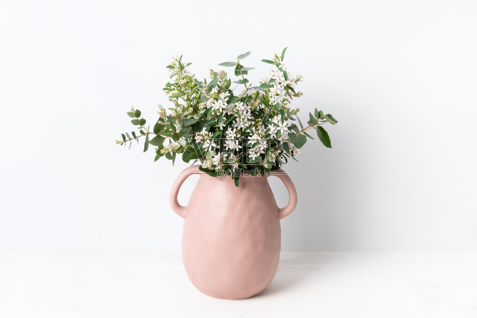 精致的白花插在粉红色的花瓶里。照片摄影图片