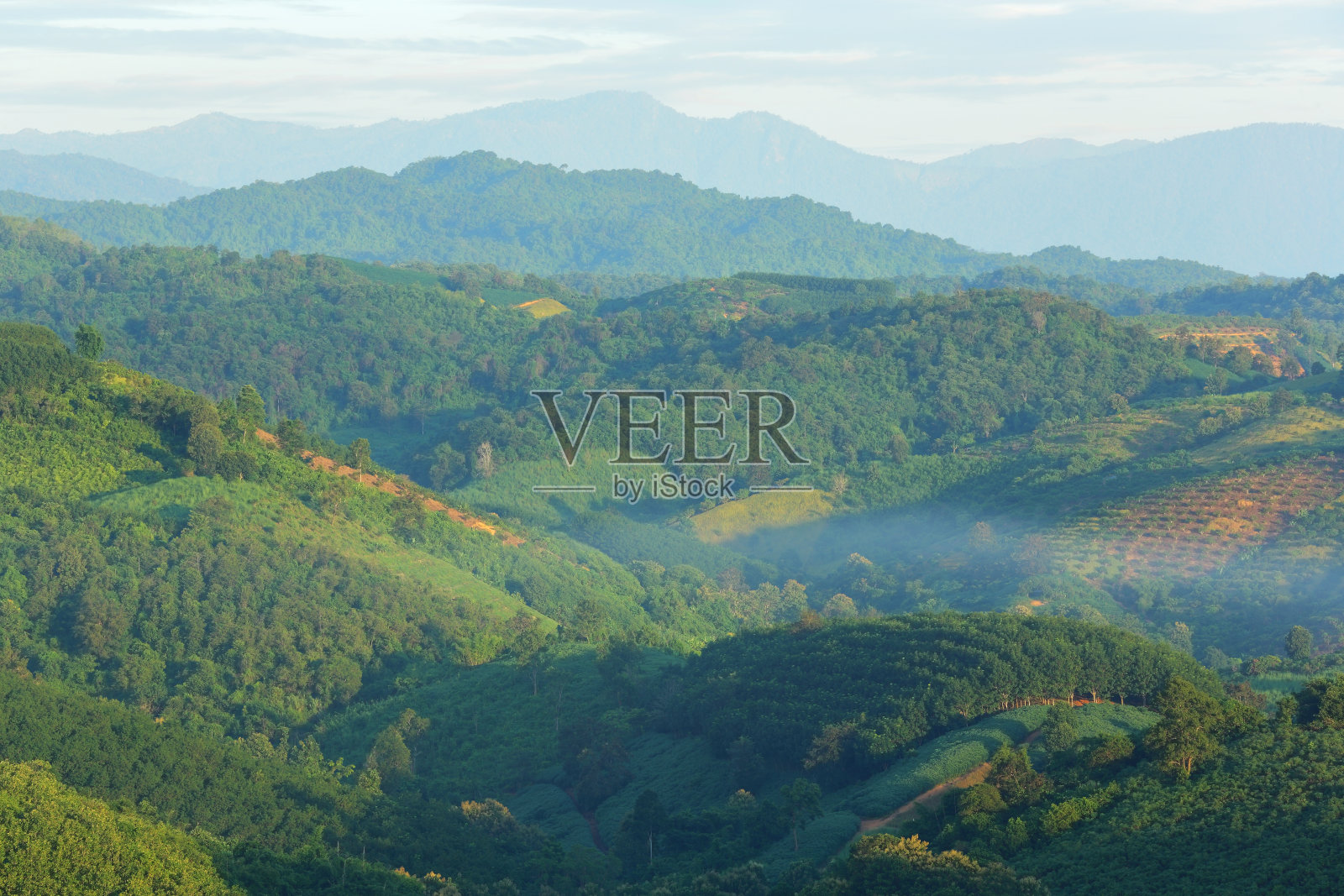 美丽的风景，在泰国南省的早晨，青山和薄雾照片摄影图片